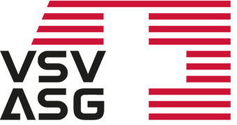 VSV logo